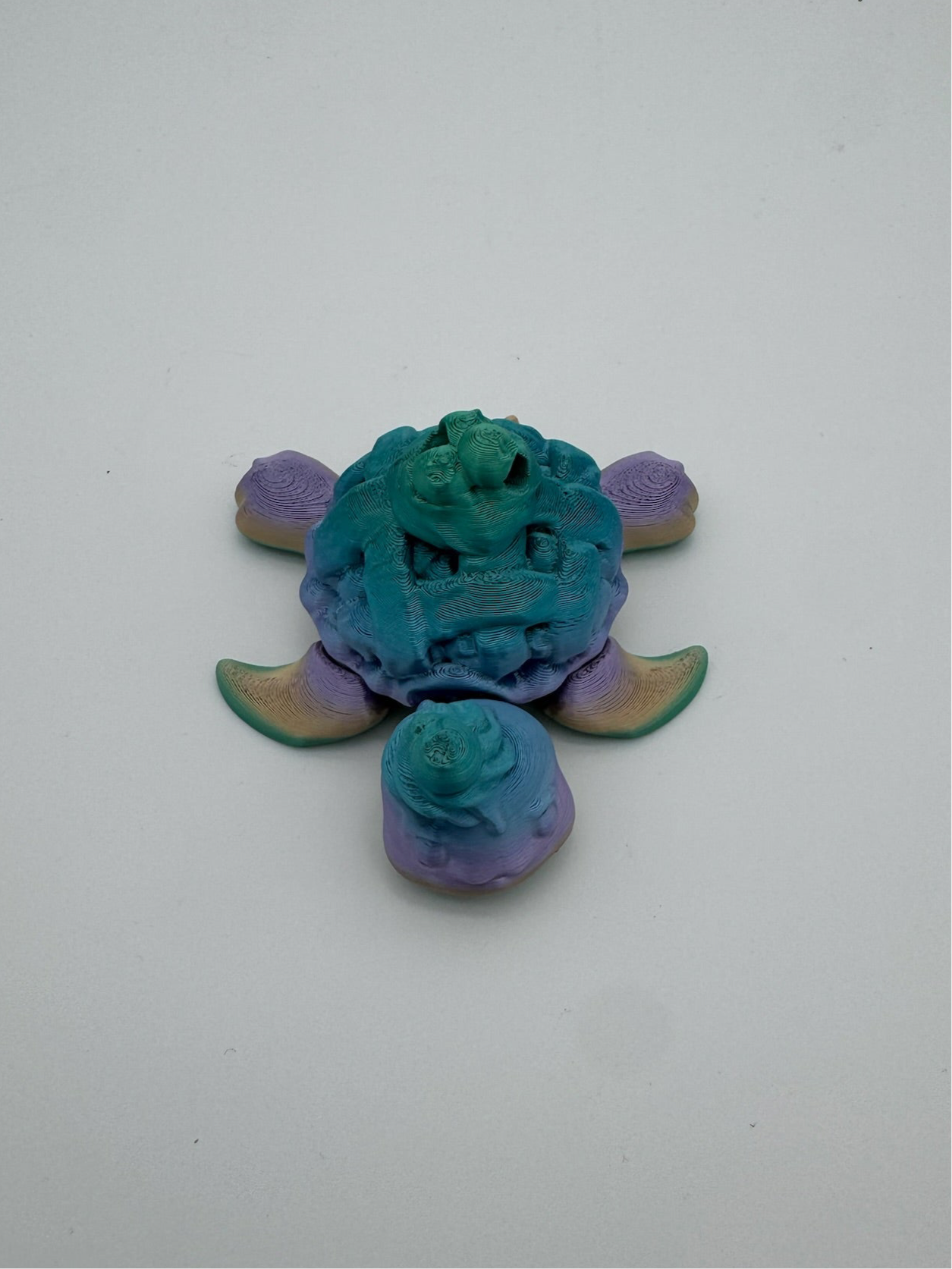 Mega Minis - Blueberry Pie Turtle